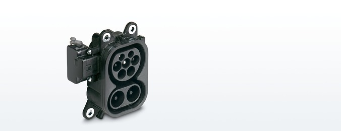 ���׮�������